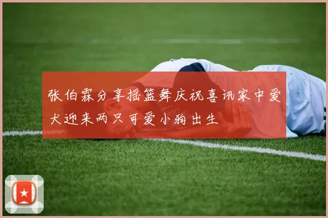 张伯霖分享摇篮舞庆祝喜讯家中爱犬迎来两只可爱小狗出生