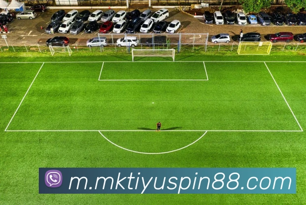 MK体育APP 封面图